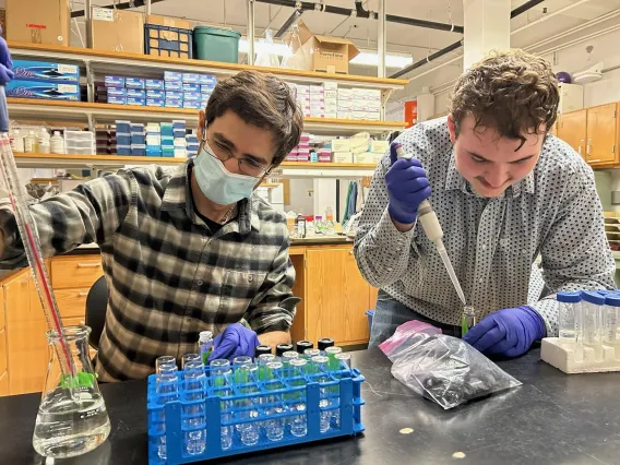 Harrison trains an undergraduate student working in the lab