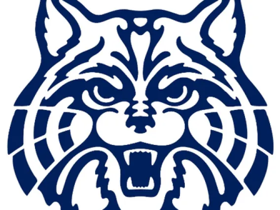 U of A wildcat graphic