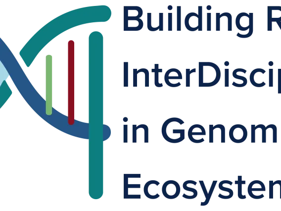 BRIDGES logo