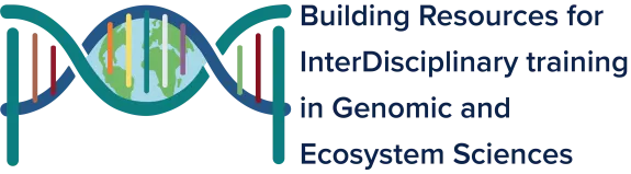 BRIDGES logo