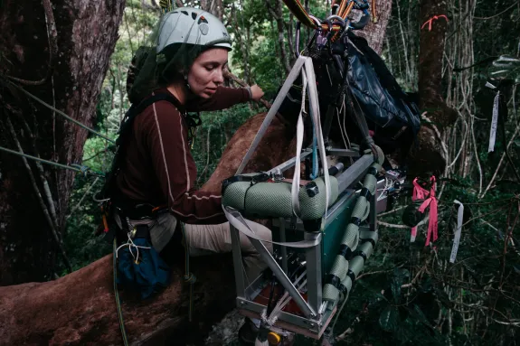 Woman works on sensor above the Amazon jungle