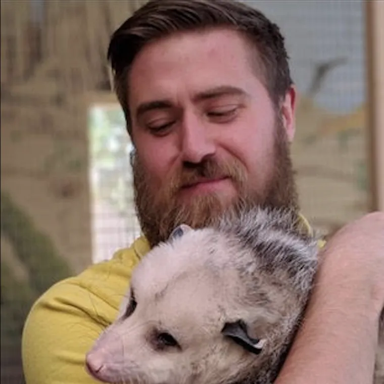 Closeup of Liam Roberts holding a possum